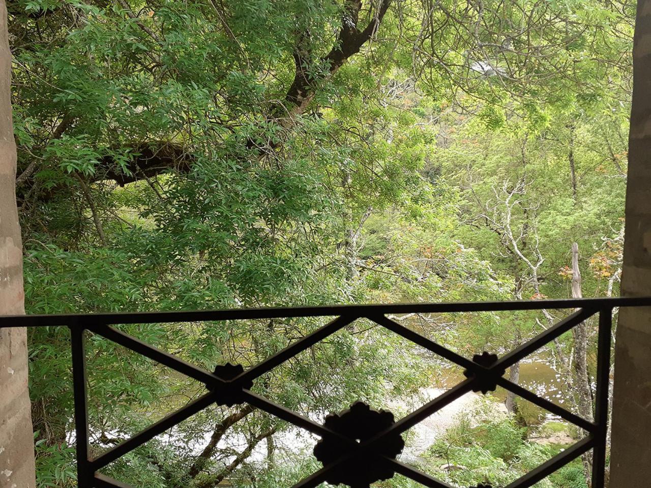 Le Moulin De Saleth Hotell Saint-Antonin Rom bilde